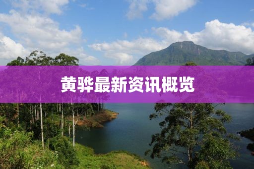 黄骅最新资讯概览