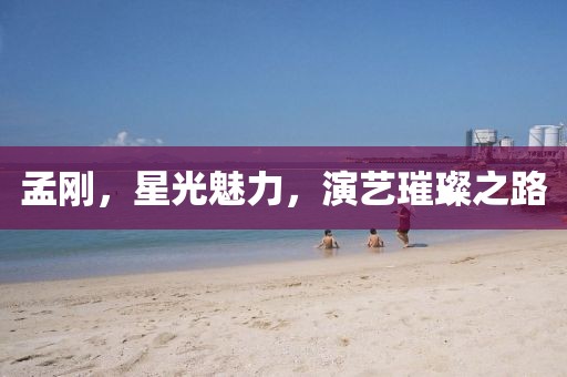 孟刚，星光魅力，演艺璀璨之路