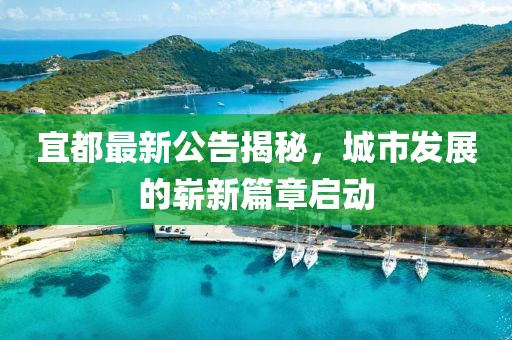 失去了 第3页