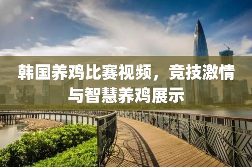 韩国养鸡比赛视频，竞技激情与智慧养鸡展示