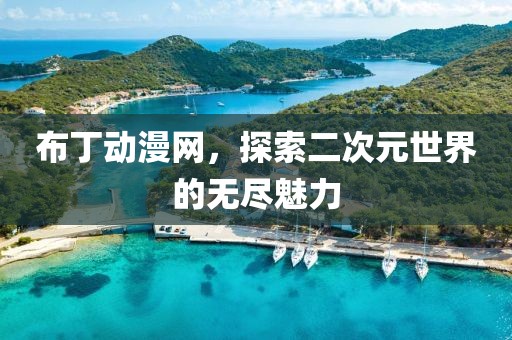 布丁动漫网，探索二次元世界的无尽魅力