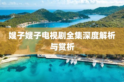 嫂子嫂子电视剧全集深度解析与赏析