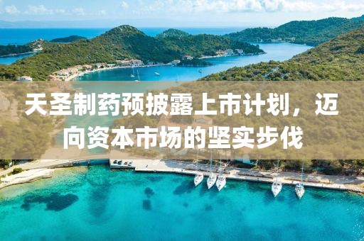 天圣制药预披露上市计划，迈向资本市场的坚实步伐