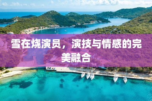 雪在烧演员，演技与情感的完美融合