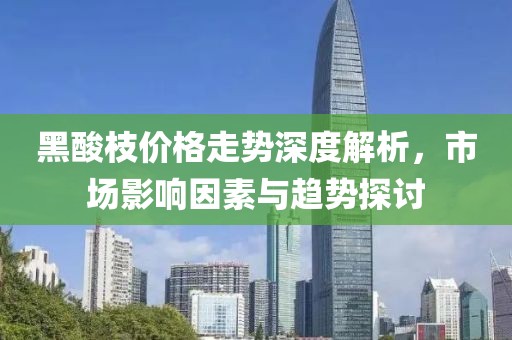 黑酸枝价格走势深度解析，市场影响因素与趋势探讨