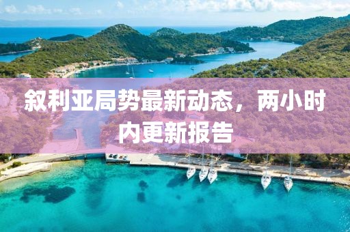 叙利亚局势最新动态，两小时内更新报告