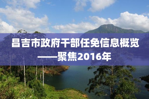 昌吉市政府干部任免信息概览——聚焦2016年