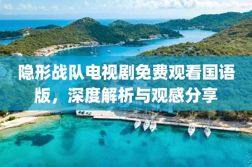 隐形战队电视剧免费观看国语版，深度解析与观感分享