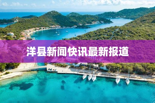洋县新闻快讯最新报道