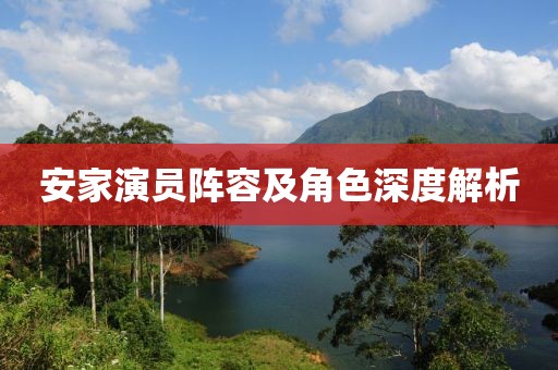 安家演员阵容及角色深度解析