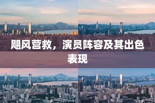 飓风营救，演员阵容及其出色表现