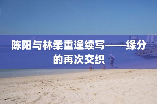 陈阳与林柔重逢续写——缘分的再次交织
