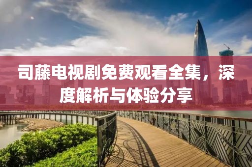 司藤电视剧免费观看全集，深度解析与体验分享