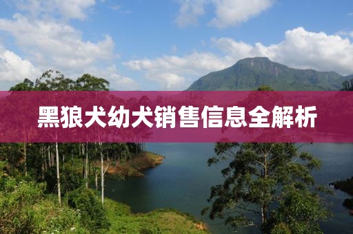 黑狼犬幼犬销售信息全解析