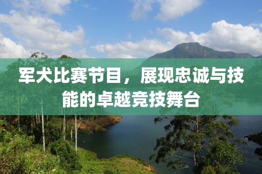 军犬比赛节目，展现忠诚与技能的卓越竞技舞台