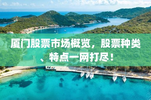 厦门股票市场概览，股票种类、特点一网打尽！