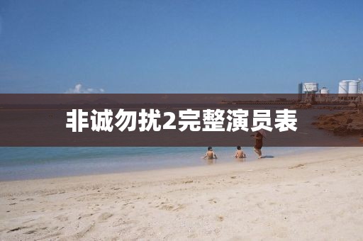 非诚勿扰2完整演员表