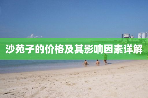 沙苑子的价格及其影响因素详解