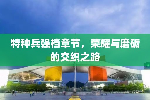 特种兵强档章节，荣耀与磨砺的交织之路