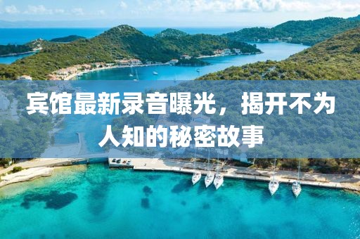 宾馆最新录音曝光，揭开不为人知的秘密故事