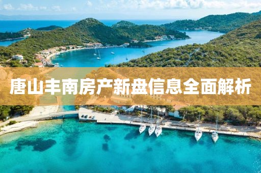 唐山丰南房产新盘信息全面解析