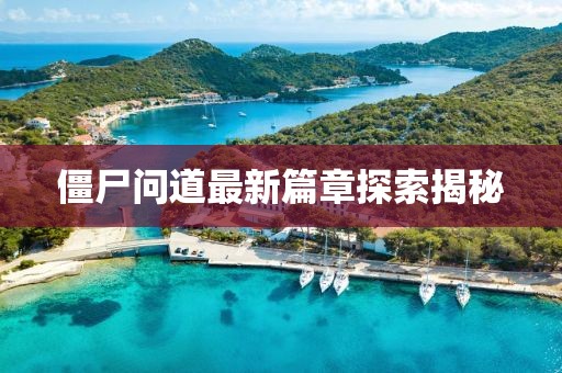 僵尸问道最新篇章探索揭秘