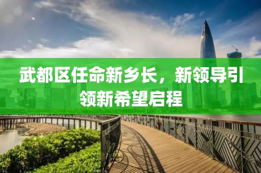 武都区任命新乡长，新领导引领新希望启程