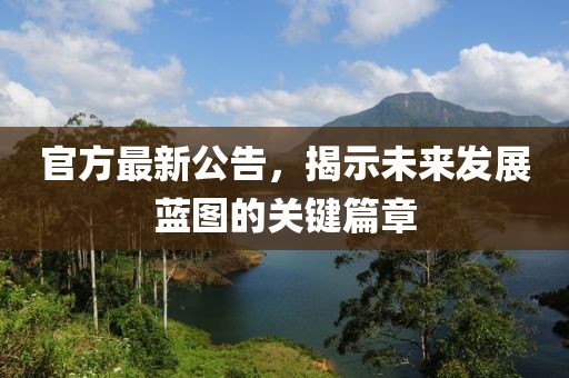 官方最新公告，揭示未来发展蓝图的关键篇章