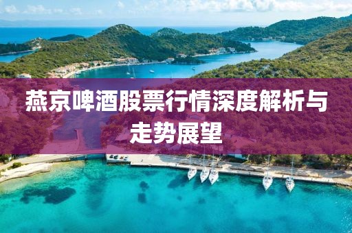 燕京啤酒股票行情深度解析与走势展望