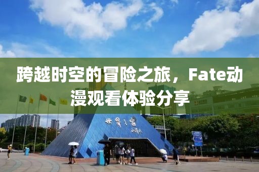 跨越时空的冒险之旅，Fate动漫观看体验分享