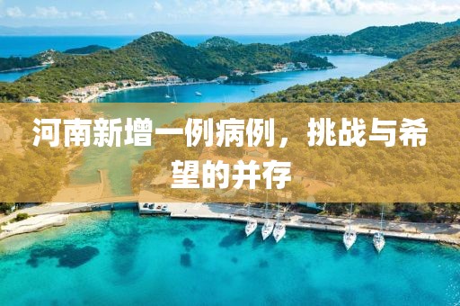 河南新增一例病例，挑战与希望的并存