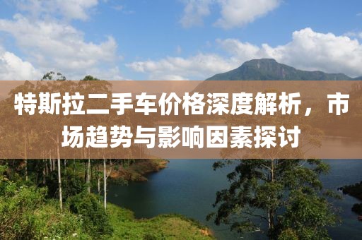 特斯拉二手车价格深度解析，市场趋势与影响因素探讨