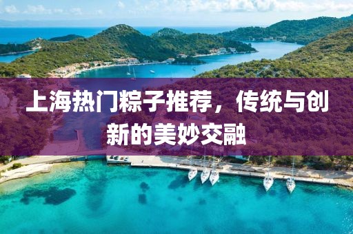 上海热门粽子推荐，传统与创新的美妙交融