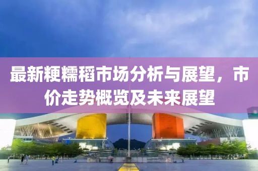 最新粳糯稻市场分析与展望，市价走势概览及未来展望