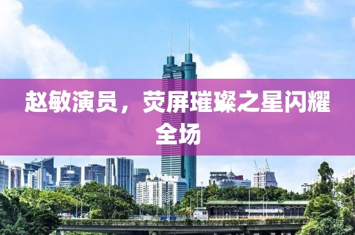 赵敏演员，荧屏璀璨之星闪耀全场