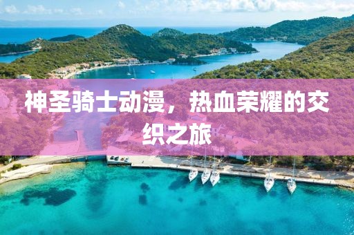 神圣骑士动漫，热血荣耀的交织之旅