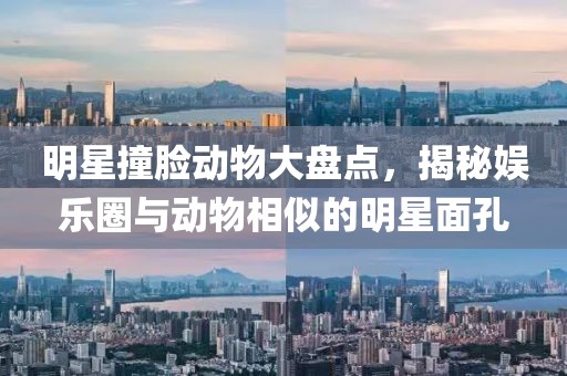 明星撞脸动物大盘点，揭秘娱乐圈与动物相似的明星面孔