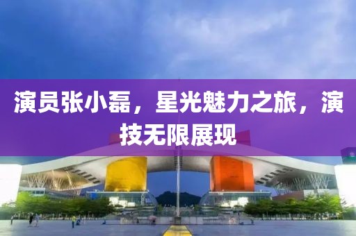 演员张小磊，星光魅力之旅，演技无限展现