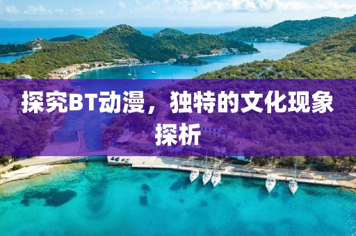 探究BT动漫，独特的文化现象探析