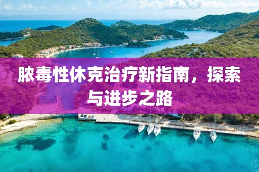 脓毒性休克治疗新指南，探索与进步之路