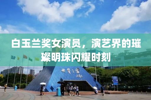 白玉兰奖女演员，演艺界的璀璨明珠闪耀时刻