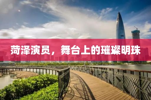 菏泽演员，舞台上的璀璨明珠