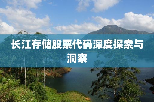 长江存储股票代码深度探索与洞察