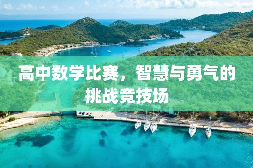 高中数学比赛，智慧与勇气的挑战竞技场