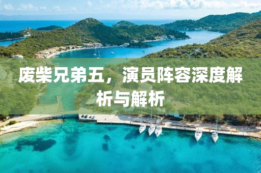 废柴兄弟五，演员阵容深度解析与解析