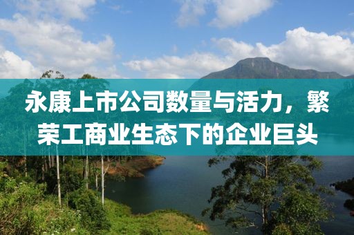 永康上市公司数量与活力，繁荣工商业生态下的企业巨头