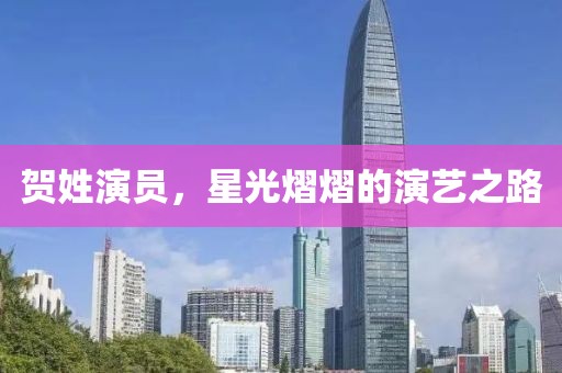 贺姓演员，星光熠熠的演艺之路