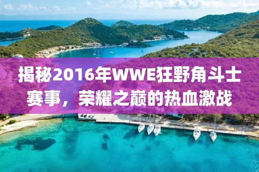 揭秘2016年WWE狂野角斗士赛事，荣耀之巅的热血激战