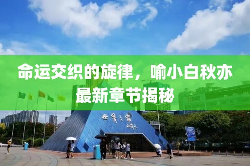 命运交织的旋律，喻小白秋亦最新章节揭秘