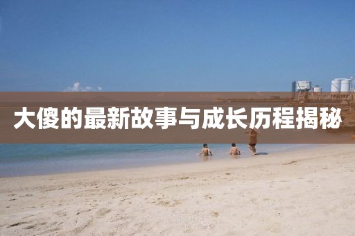 大傻的最新故事与成长历程揭秘